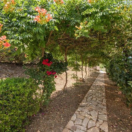 Agallis Corfu Residence Sokrakion Ngoại thất bức ảnh