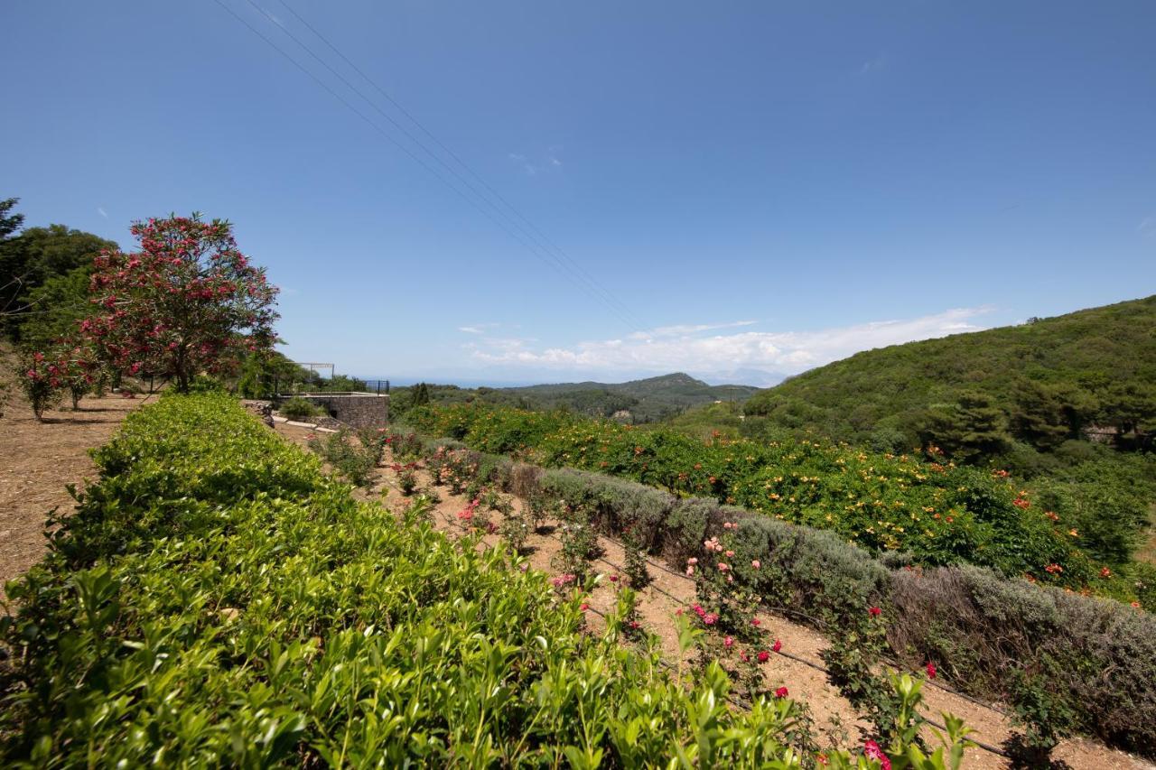 Agallis Corfu Residence Sokrakion Ngoại thất bức ảnh